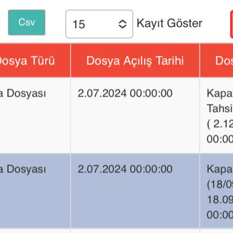 Findeks Raporunda Borçlarım Hatalı Görünüyor, Mağduriyet Yaşıyorum