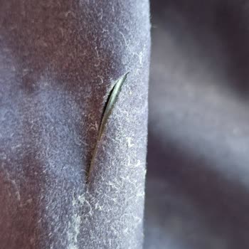 A101’den Aldığım Yatak İlk Kullanımda Patladı, Değişim Yapılmadı