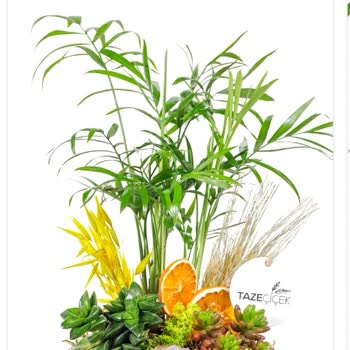 Görsel Onaysız Sipariş Ve İade Sorunu: Müşteri Hizmetleri Yetersizliği