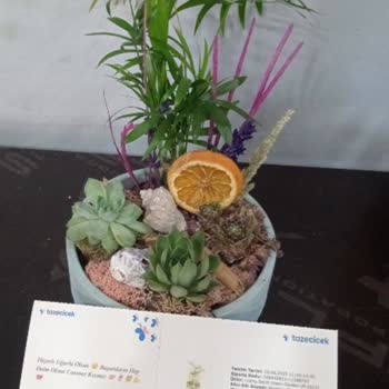 Görsel Onaysız Sipariş Ve İade Sorunu: Müşteri Hizmetleri Yetersizliği