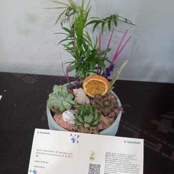 Görsel Onaysız Sipariş Ve İade Sorunu: Müşteri Hizmetleri Yetersizliği