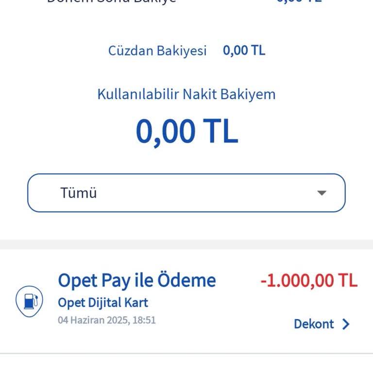 Opet Pay Puanlarım Uygulamada Ve Yakıt Alımında Görünmüyor