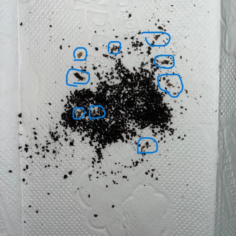 Starbucks House Blend Kahvede Yabancı Cisimlerle Karşılaşmak Hayal Kırıklığı