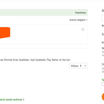 Temu Alışverişinde Değişen Fiyatlar Moralimi Bozdu