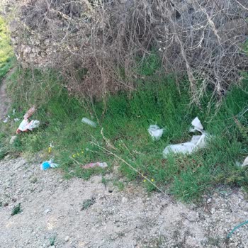 Kırıkkale Belediyesi Çöp Konteyneri Talebimiz Oldu Ama Bir Türlü Karşılanmadı!