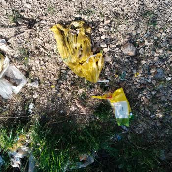 Kırıkkale Belediyesi Çöp Konteyneri Talebimiz Oldu Ama Bir Türlü Karşılanmadı!