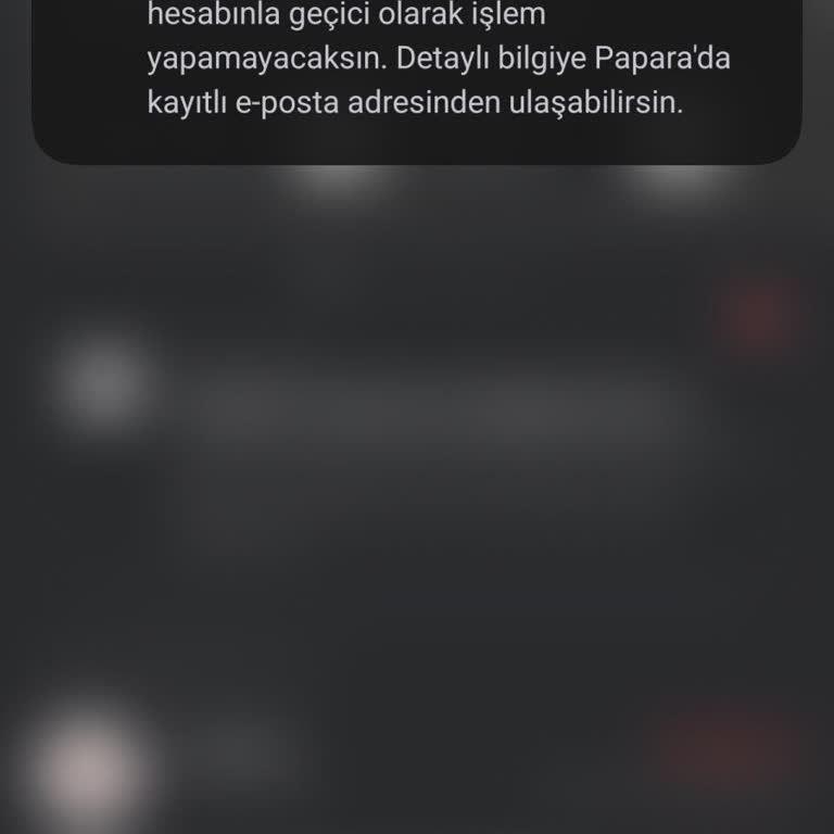 Papara Hesap İncelemesi Neden Bu Kadar Uzun Sürdü?
