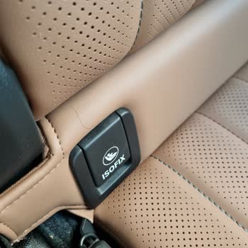 Mini Sıfır Araçta Kedi İzleri Ve Yetersiz Temizlik Şoku