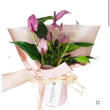 Siparişimdeki Ürün Farklı Geldi Çağrı Merkezine Ulaşamıyorum