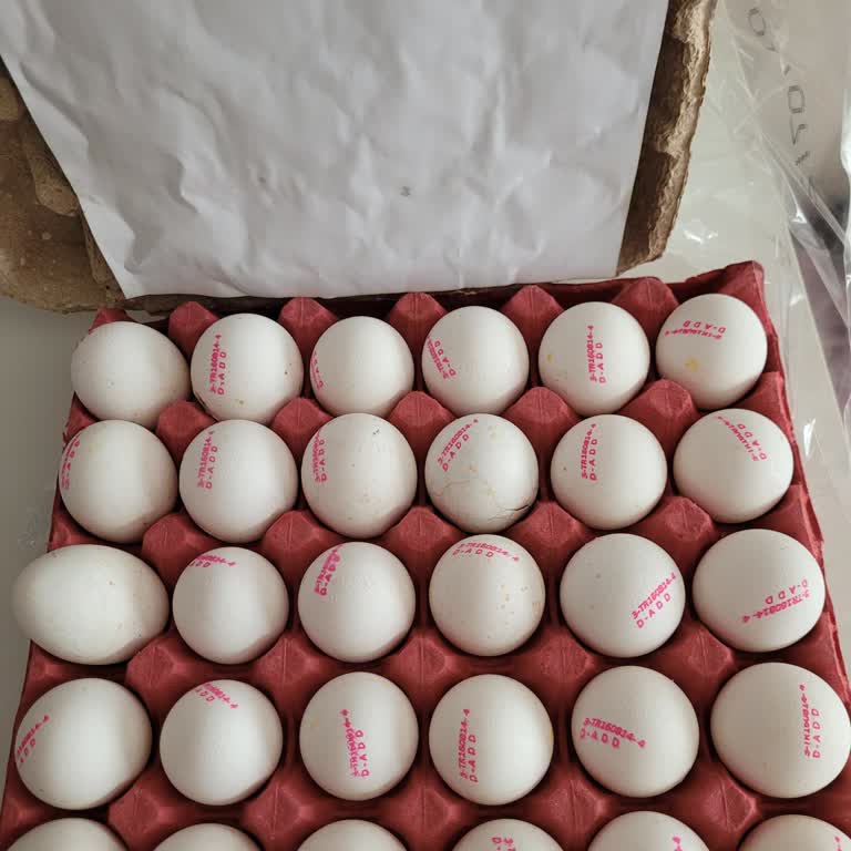 Son Kullanma Tarihi Geçmemiş Yumurtaların Bozuk Çıkması Ve İade Sorunu