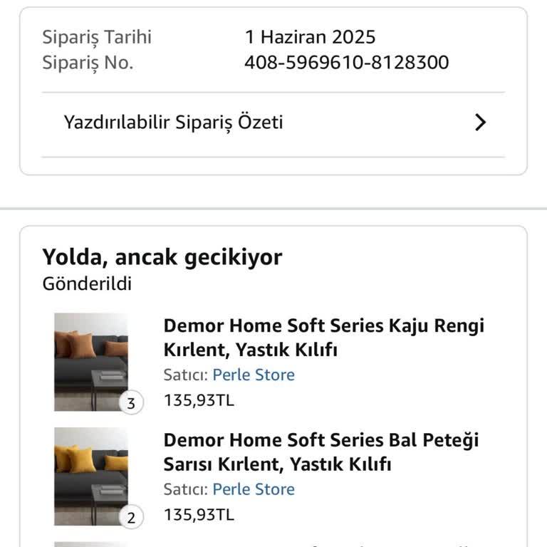 Siparişimin Teslimatı Gecikti Ve Kargo Takip Bilgisi Sağlanmadı