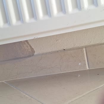 Umut Dekorasyon Yanılttı