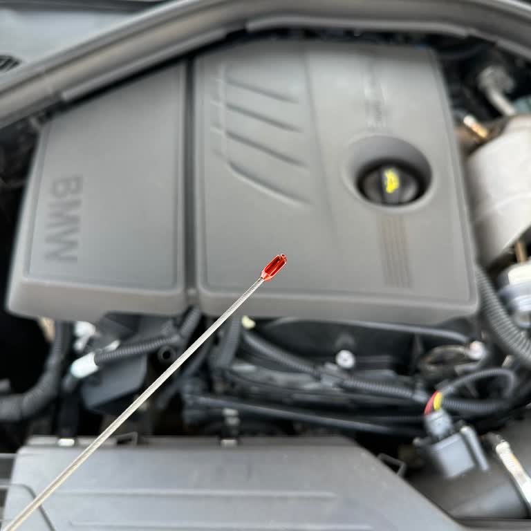 BMW Motor Garantisinde Yağ Çubuğu Sorunu Ve Müşteri Mağduriyeti