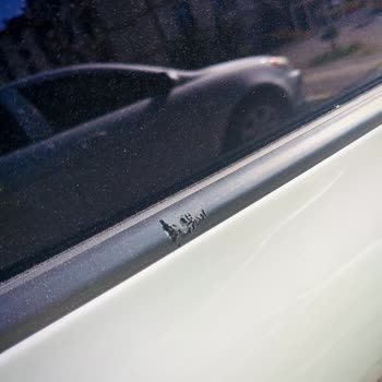 Seat Arona Cam Fitillerinin Suya Dayanıksızlığı Ve Garanti Dışı Bırakılması