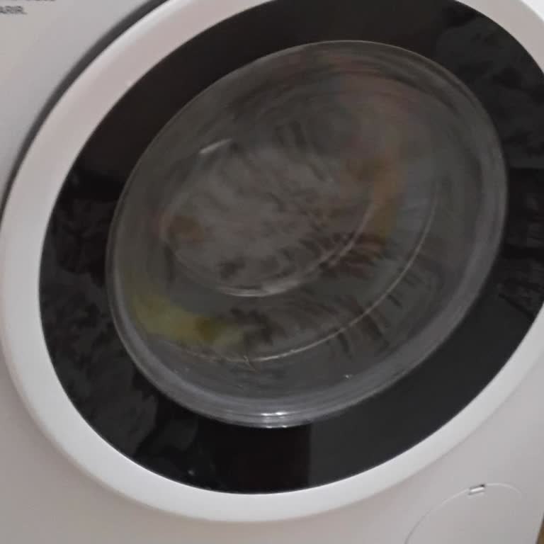 Profilo Dört Aylık Çamaşır Makinesinde Şiddetli Ses Ve Sallanma Sorunu