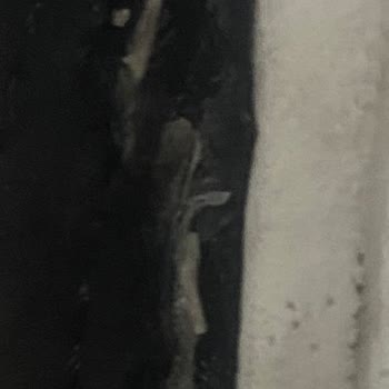 Kısa Sürede Açılan Ayakkabı Ve Yetersiz Müşteri Hizmeti