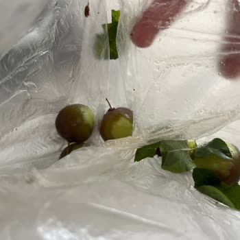 Garantisi Devam Eden Buzdolabında Sürekli Aşırı Soğutma Ve Çözülmeyen Servis Sorunu