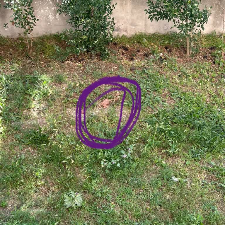 Migros Bozuk Kıyma Sattı Eşim Kokusundan Neredeyse Kustu