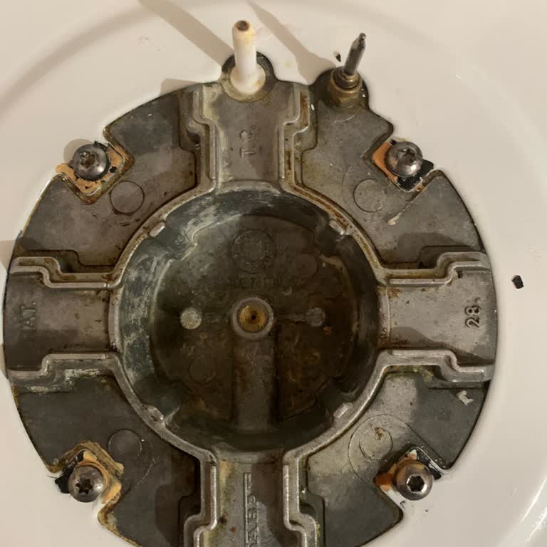 Vestel Fırın Tablasında Sürekli Boya Atması Ve Servis Çözüm Bulamıyor