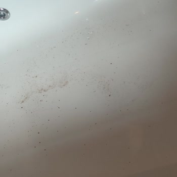 Montena Bungalov'da Temizlik Ve Hizmet Eksiklikleri Hayal Kırıklığı Yarattı