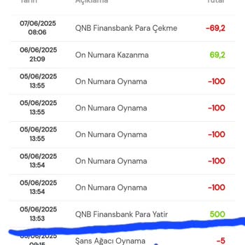 Milli Piyango Kampanya Şartlarını Yerine Getirmeme Rağmen Bonus Tanımlanmadı