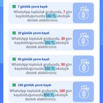 Triton Lease Mağdur Etti