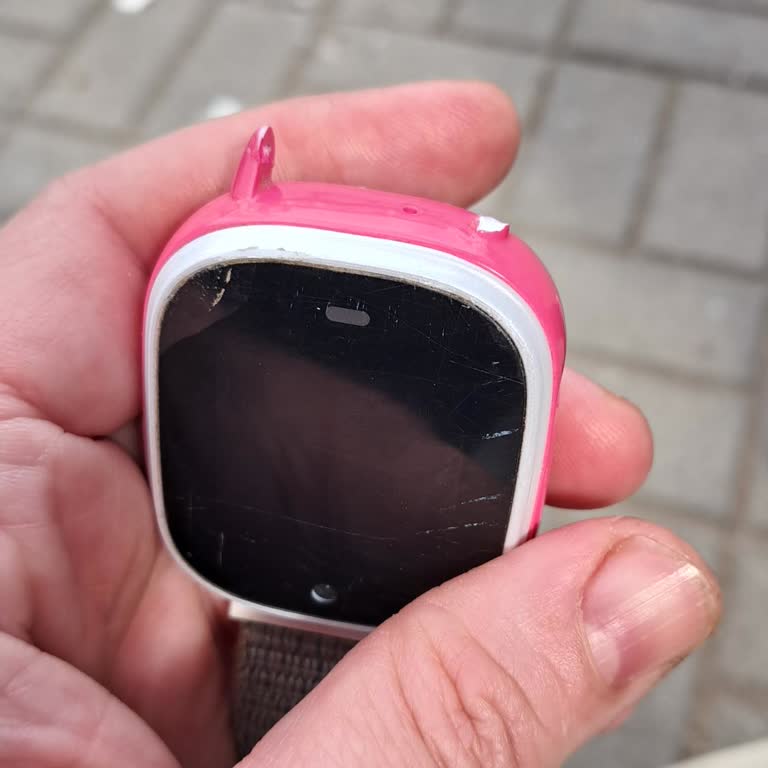 Kırılan Akıllı Saat İçin Sigorta Desteği Alamıyorum