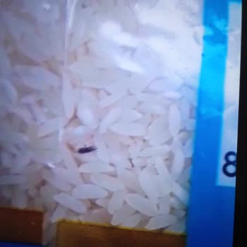 Aldığım Pirinçte Böcek Çıktı, Fişsiz İade Kabul Edilmedi