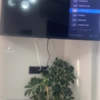 Philips TV 43PUS7009/62 TV Pişmanlıktır