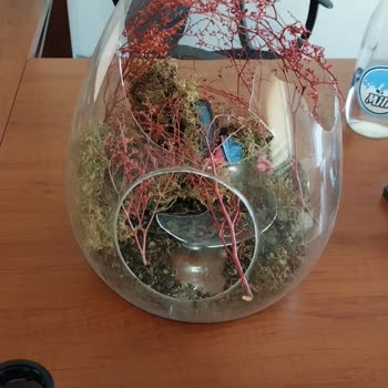 Kargo Firması Ürünümü Bilerek Kırdı Ve Zararım Karşılanmıyor