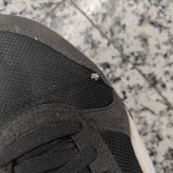 Ürün Değişimi Yerine Para İadesi Sorunu Ve Mağduriyet