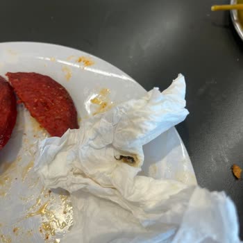 Yemeklerde Kıl Ve Böcek Şoku: Hayal Kırıklığı