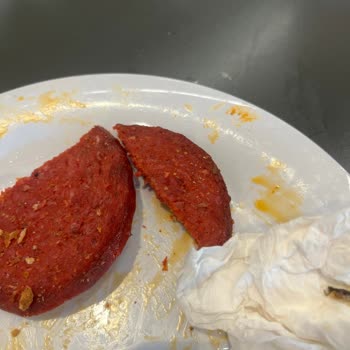 Yemeklerde Kıl Ve Böcek Şoku: Hayal Kırıklığı