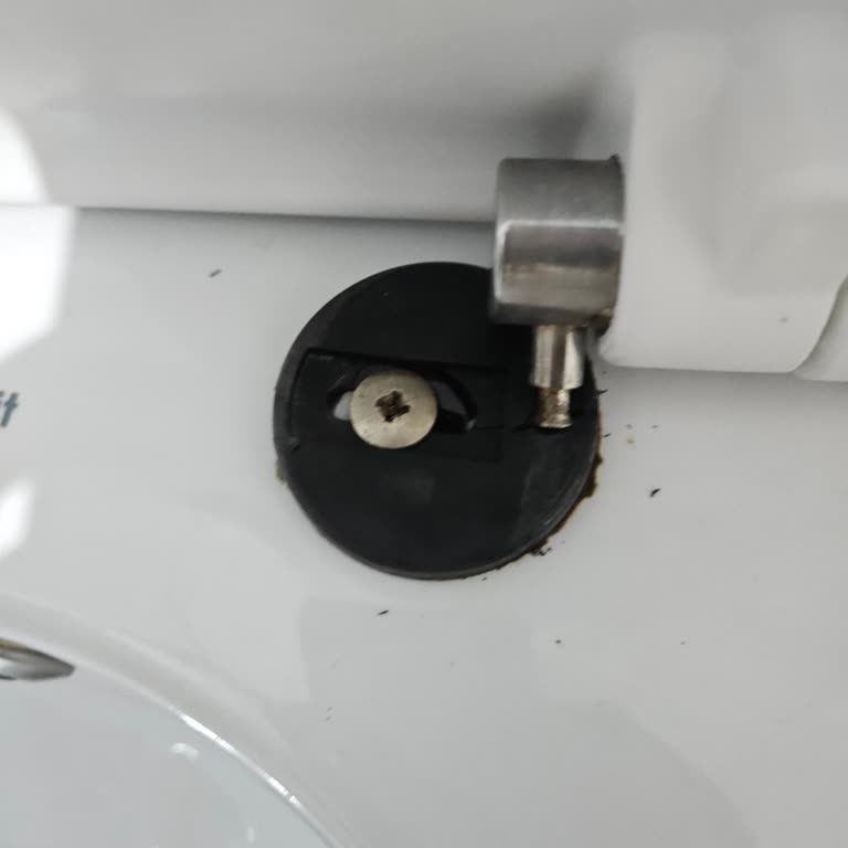 Creavit Klozet Kapağı İçin Yedek Parça Bulamıyoruz!