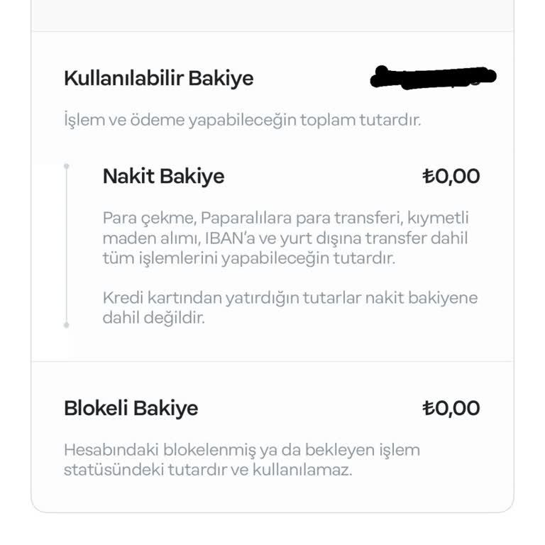 Papara Hesabıma Yatırdığım Parayı Kullanamıyor Ve İade Alamıyorum!