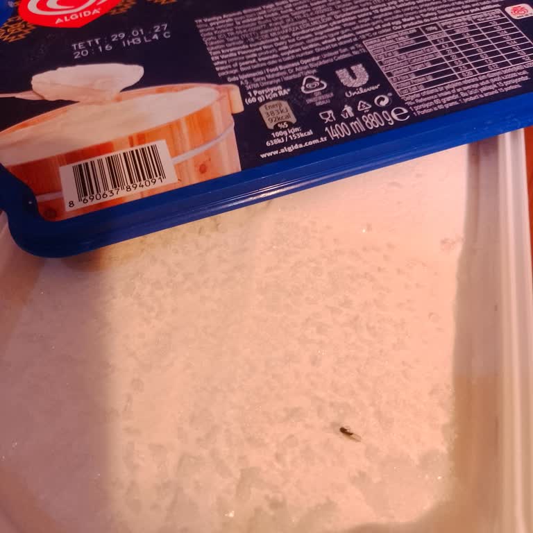 Algida Maraş Dondurmada Ölü Sinek Şoku Yaşadım