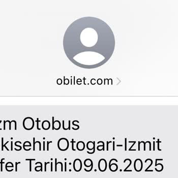 Buzlu Turizm'de Gecikmeli Ve Konforsuz Yolculuk Deneyimi