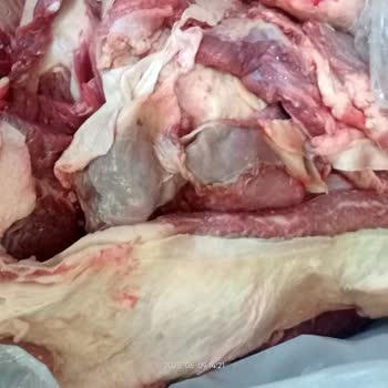 Kurban Hissesi Teslimatında Yağ Ve Deri Sorunu, Yetersiz Çözüm Sunuldu