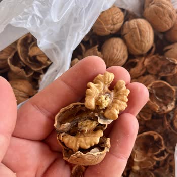 Şok Marketten Aldığım Cevizler Küflü Ve Kurtlu Çıktı