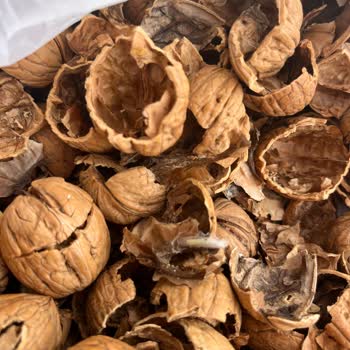 Şok Marketten Aldığım Cevizler Küflü Ve Kurtlu Çıktı