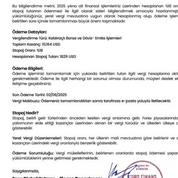 Yatırım Vaadiyle Yönlendirilen Yanıltıcı İşlemler Ve Kayıp Deneyimi