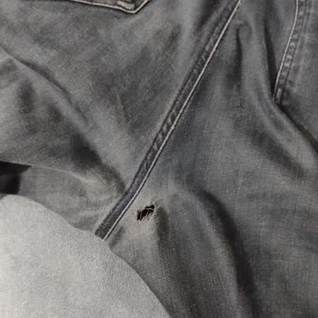 Mavi'den Alınan Pantolonun Kısa Sürede Yırtılması Ve Yaşanan Mağduriyet