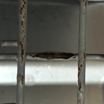 Teka DW 605 S Bulaşık Makinesi Sepetinde Kronik Paslanma Ve Sağlık Riski