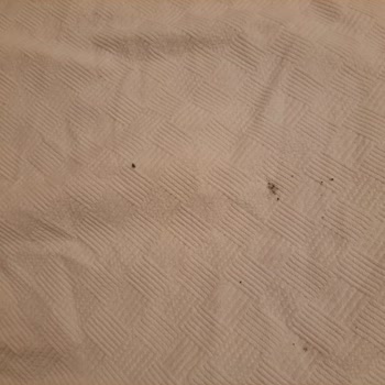 Hotel First Class (Didim) Küf Kokusu, Pis Çarşaflar Ve Mikrop Kapan Çocuğumuzla Kötü Tatil Deneyimi!