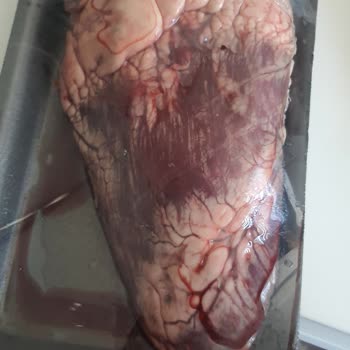 Carrefourdan Alınan Kurban Hissesinde Bozuk Ciğer Ve Eksik Organ Sorunu