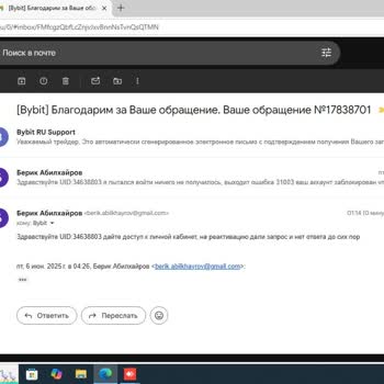 ByBit 31003 Аккаунт Заблокирован, нет ответа от поддержки