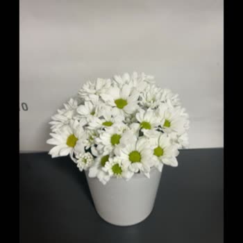 Çiçek Sepeti'nden Aldığım Ürün Görseldekiyle Uyuşmadı, Sorunum Çözülmedi