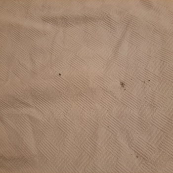 Aile Tatilinde Hijyen Ve Hizmet Sorunları Hayal Kırıklığı Yarattı