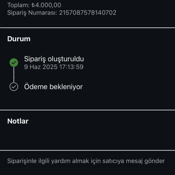 Diecastauto.tr Tarafından Yanıltıldım!