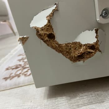 Konsolun Kırılmasıyla Yaşanan Güven Kaybı Ve Mağduriyet